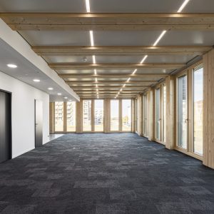 Moderner Innenraum mit einem langen, lichtdurchfluteten Flur, der von großen bodentiefen Fenstern mit Holzrahmen flankiert wird. Die Decke ist mit sichtbaren Holzträgern und integrierter Beleuchtung gestaltet, während der anthrazitfarbene Teppichboden.